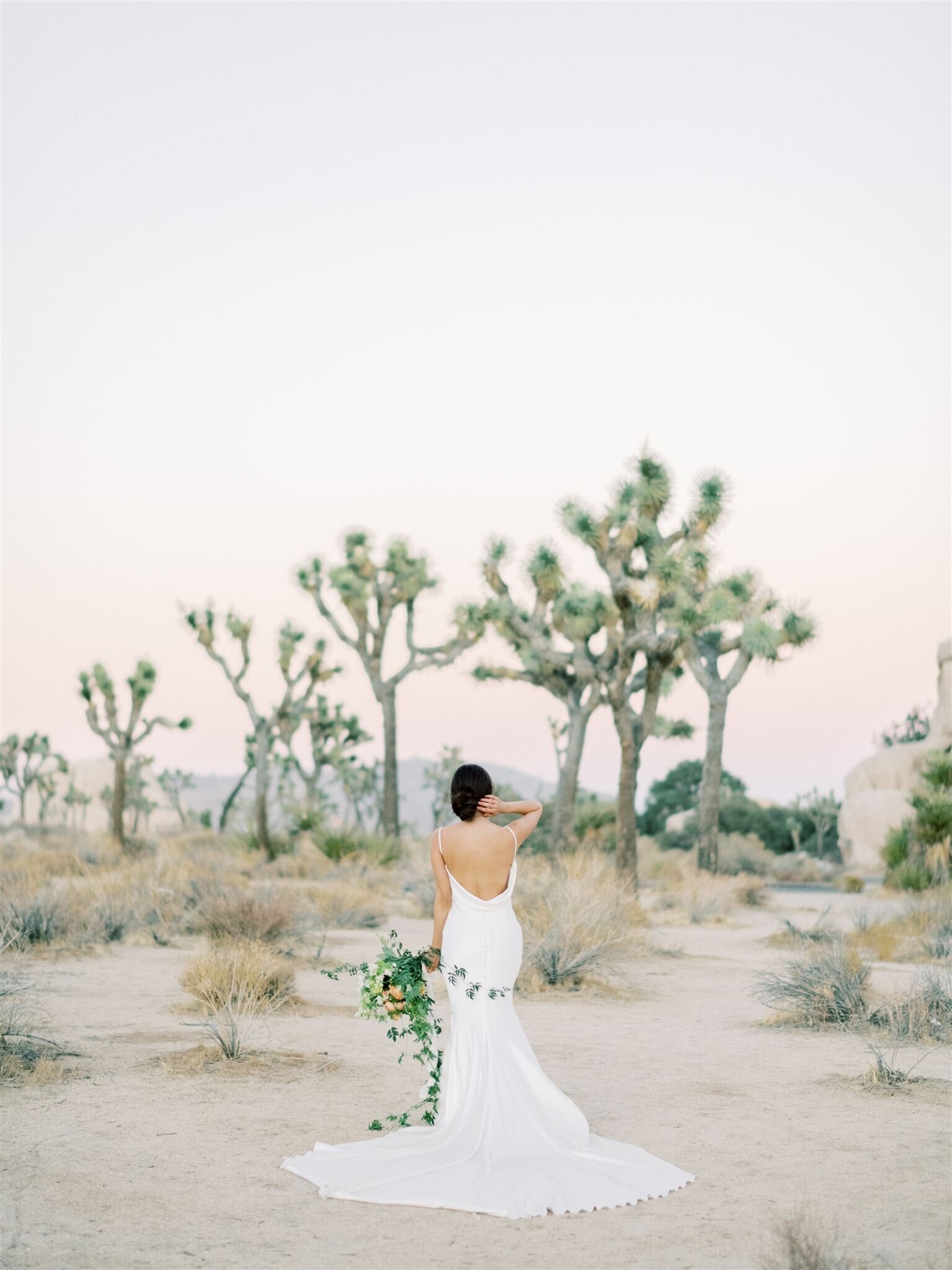 joshua-tree-etherandsmith-264_websize