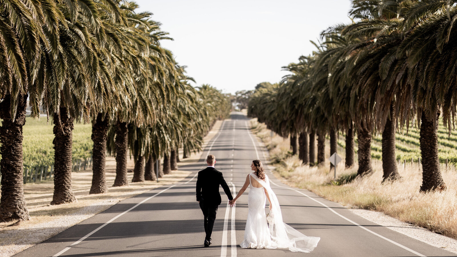 231103-Cassie-Corbin-Rexvil-Photography-Adelaide-Wedding-Photographer-545
