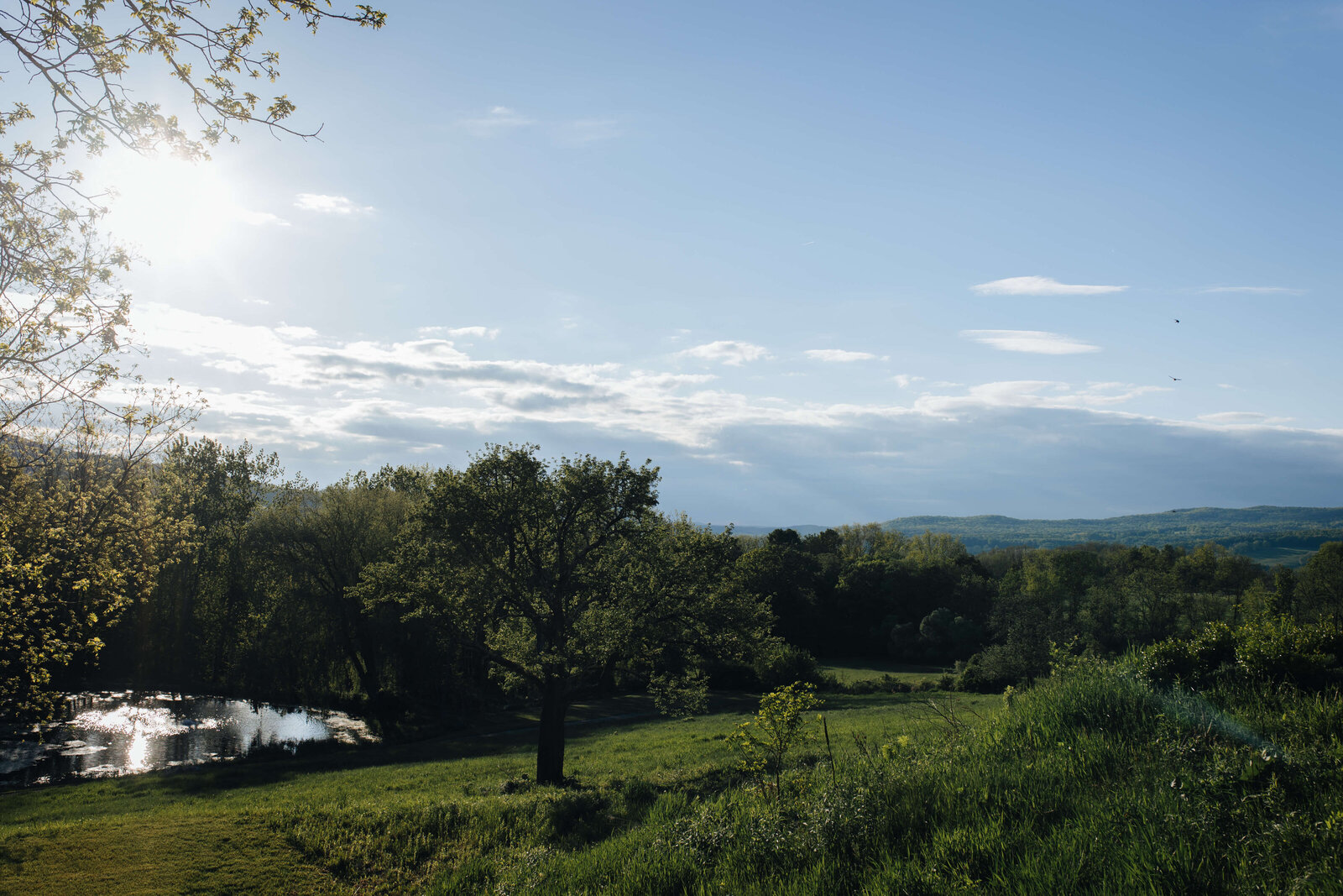 sassafras-ruins-wedding-photographer-hudson-valley-071