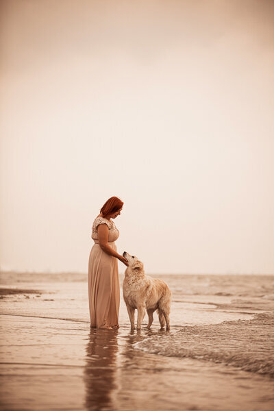 Een ontspannen fotoshoot met een diervriendelijke basis. Ik leg de band vast tussen jou en je hond