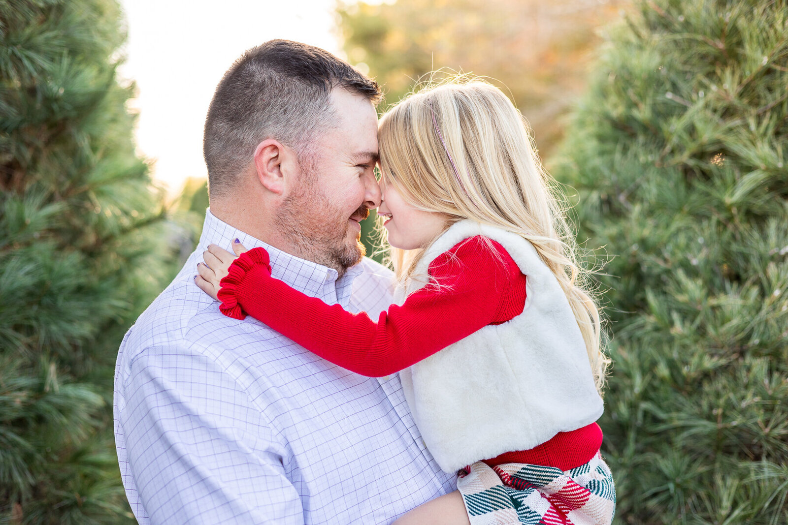 Golden-hour-tree-farm-photography-session-Lexington-KY-photographer-4
