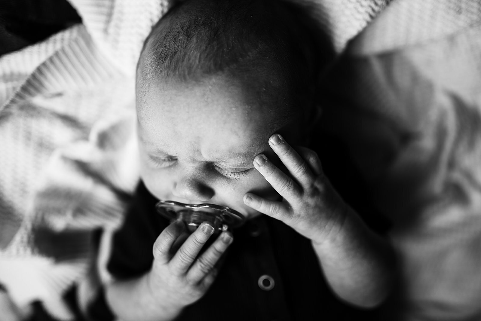 sydney-newborn-photographer-11
