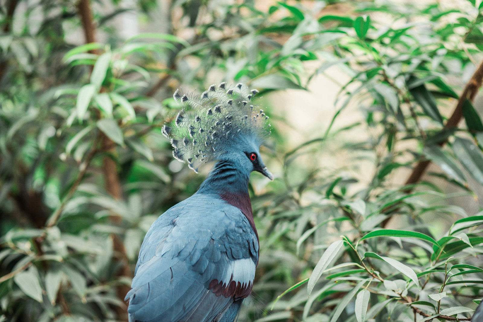 grey-bird-zoo-nature-philadelphia-pa-kate-timbers-photography-2031