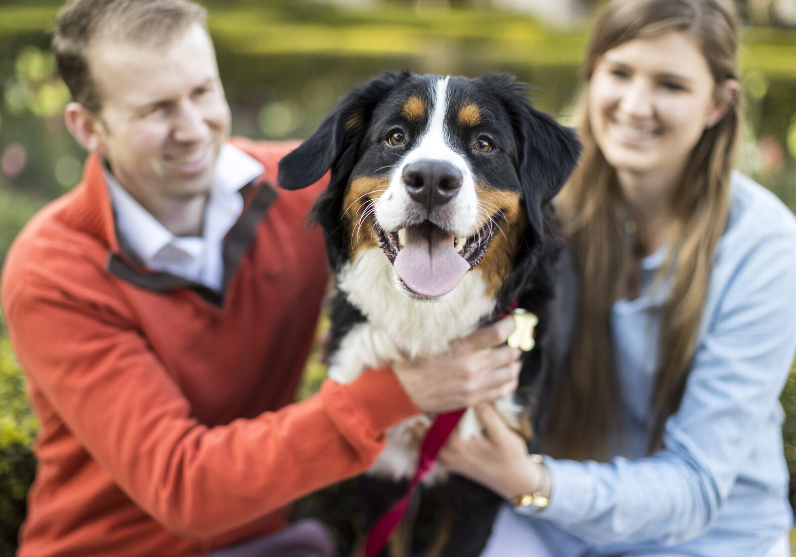 marketing pet photographer 9 copy