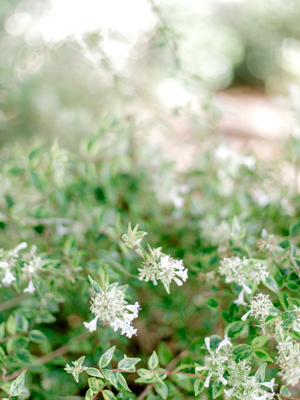 room_on_main_dallas_wedding_photographer_md-73