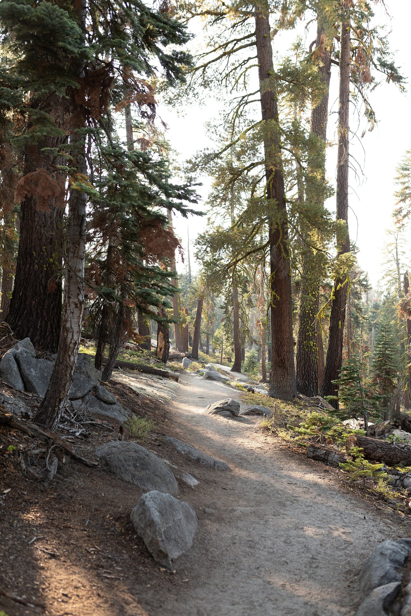 yosemite-elopement-wedding-photography_0001