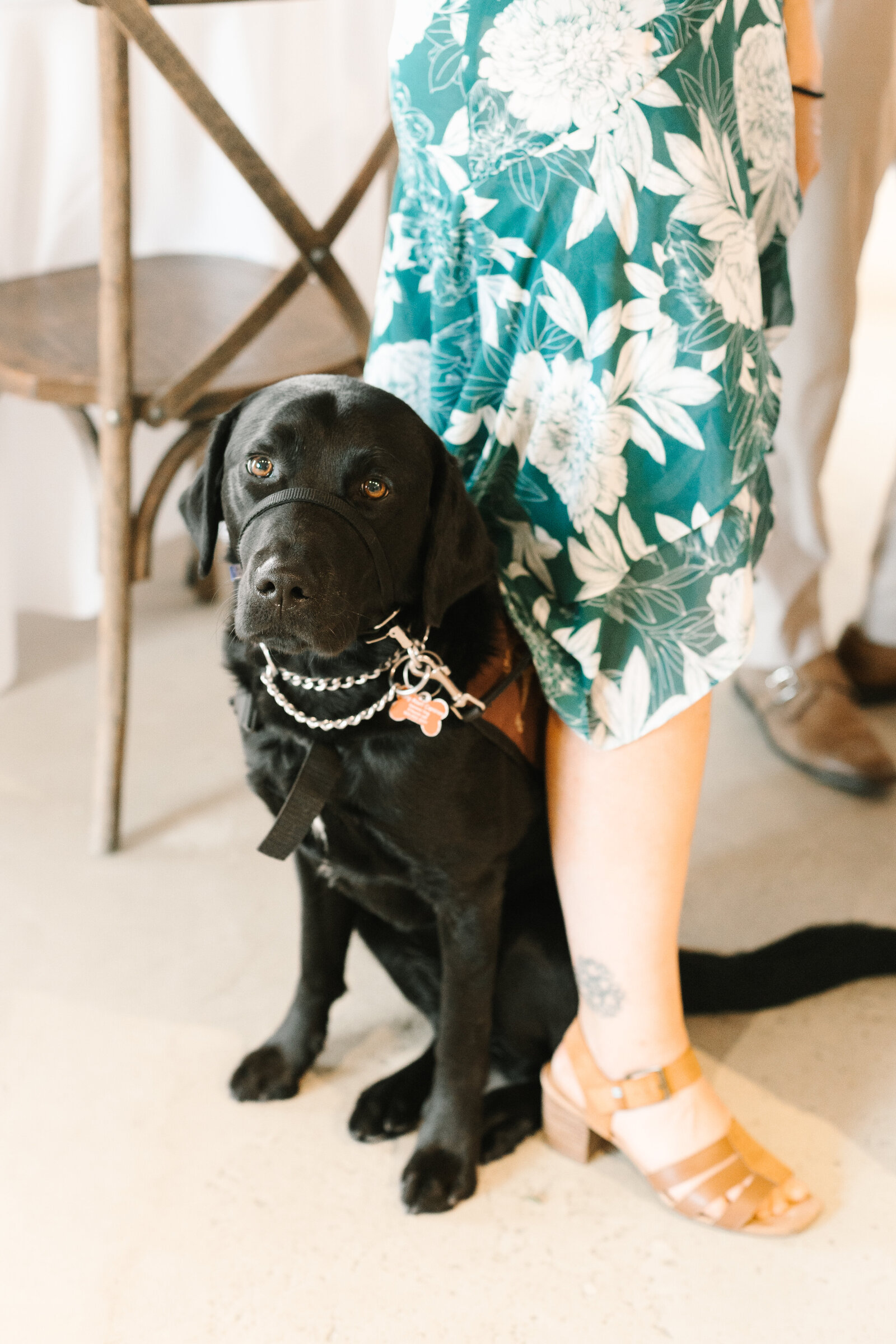 Monterey Beach Wedding 88