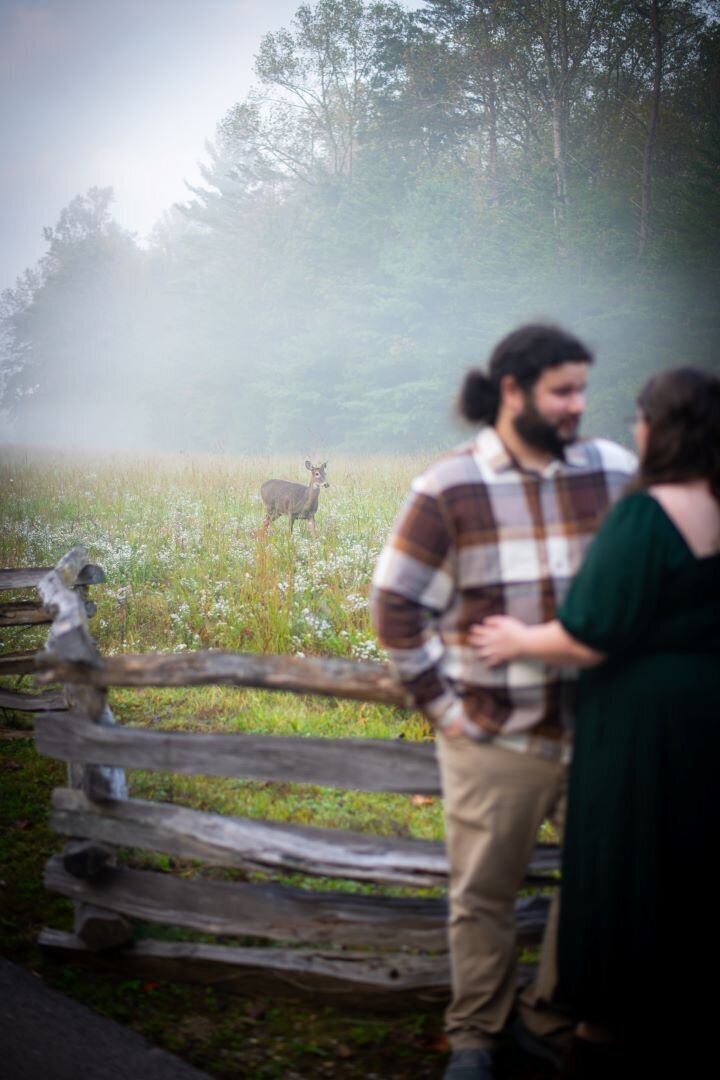Engagement Photography Great Smoky Mountains