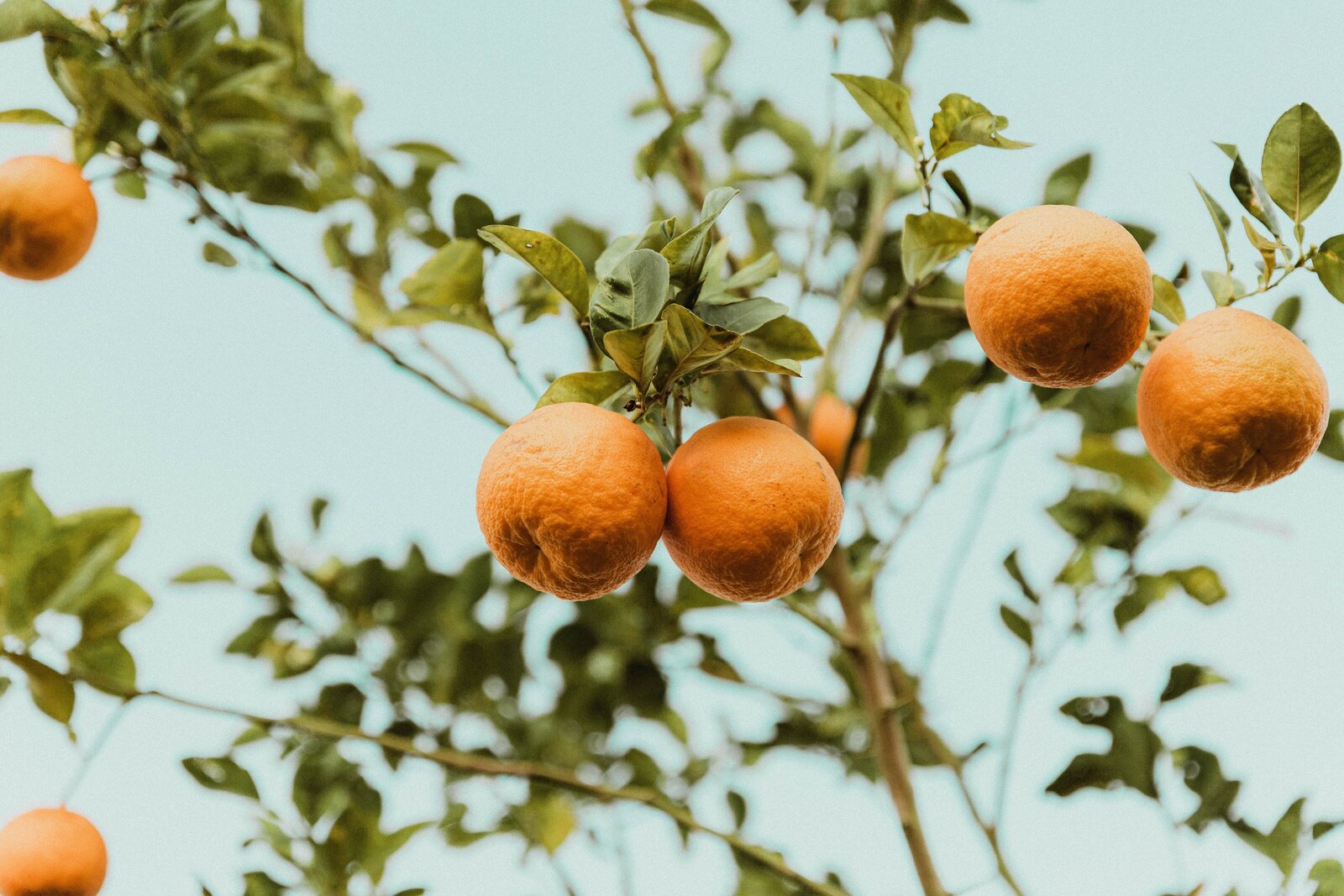 benigno-hoyuela-E1ZwXiBD7LA-unsplash