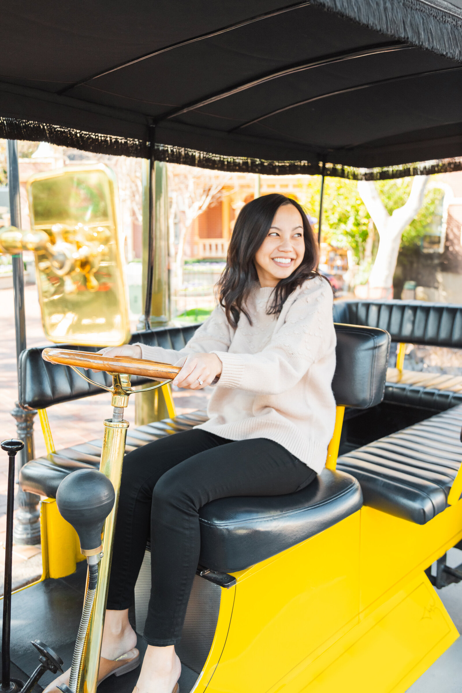 Disneyland Engagement 16