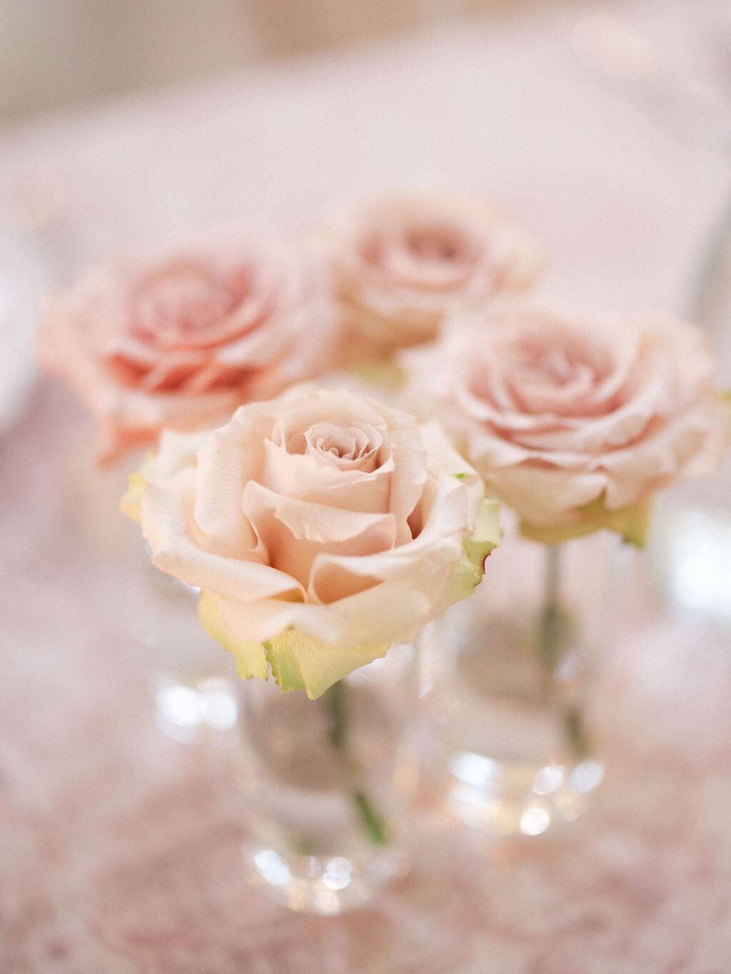 Greengate-Ranch-and-Vineyard-Wedding-San-Luis-Obispo-Ashley-Rae-Studio-Patag-2024-838