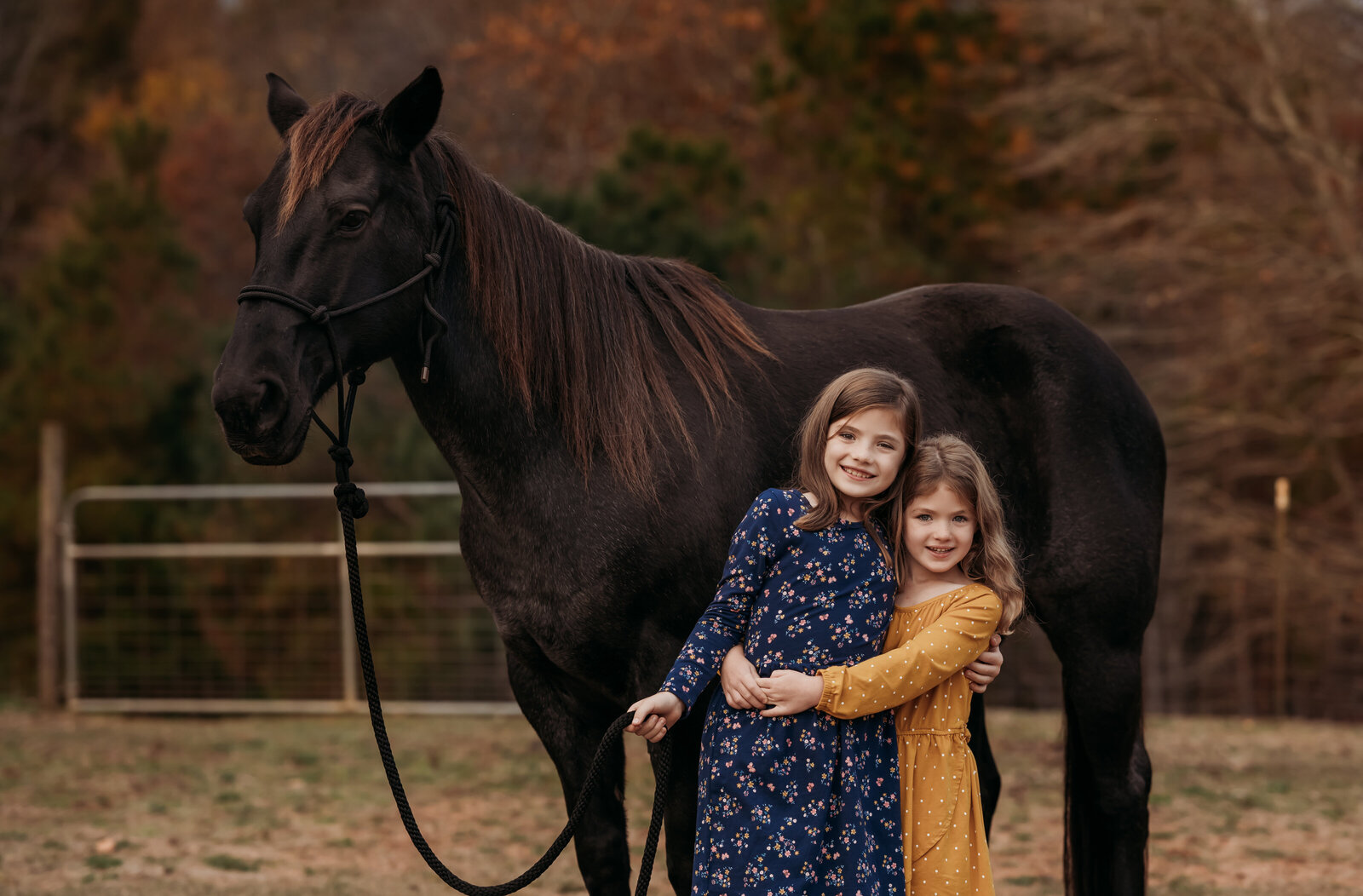 horse photoshoot