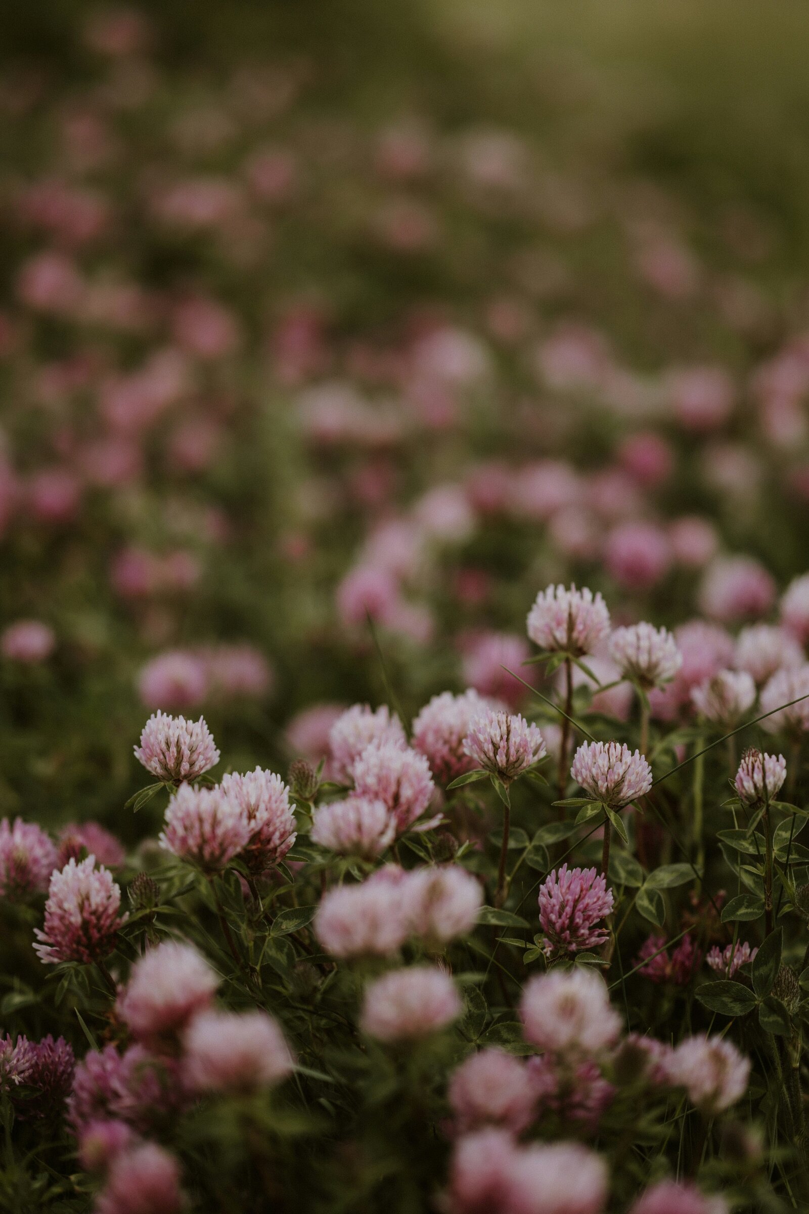 annie-spratt-gDrbH7HBG3A-unsplash