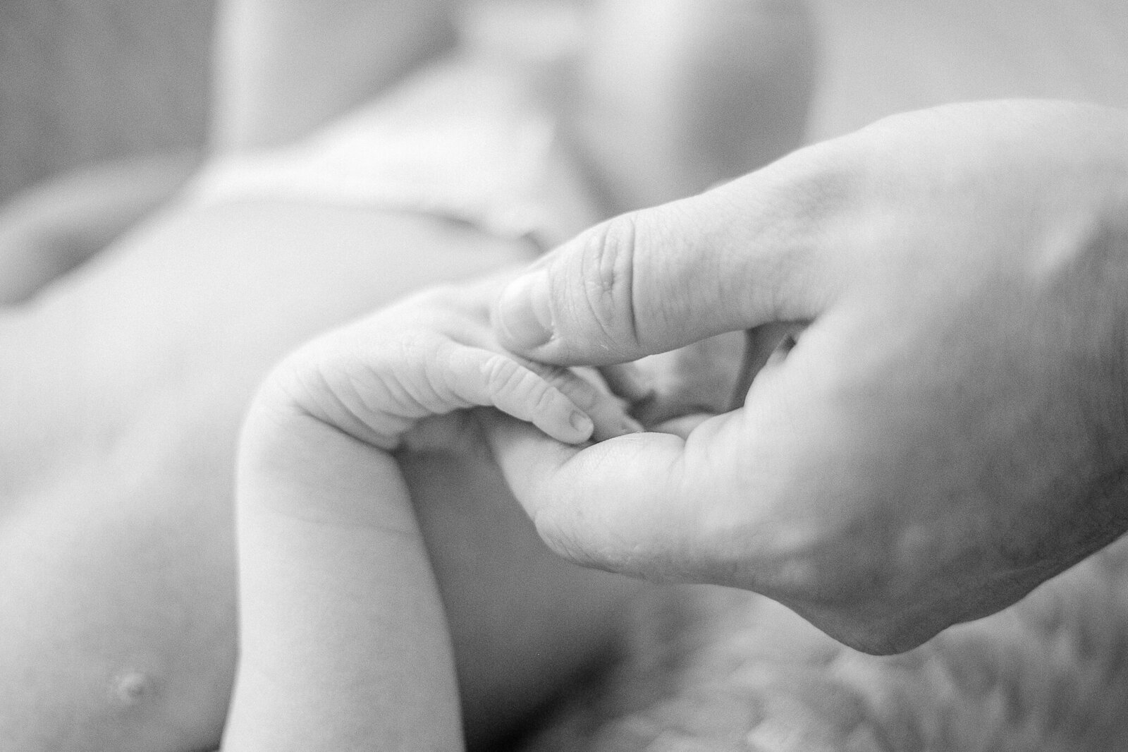 A newborn baby's tiny hand is gently held by her father's during an in-home Rochester NY newborn photography session.