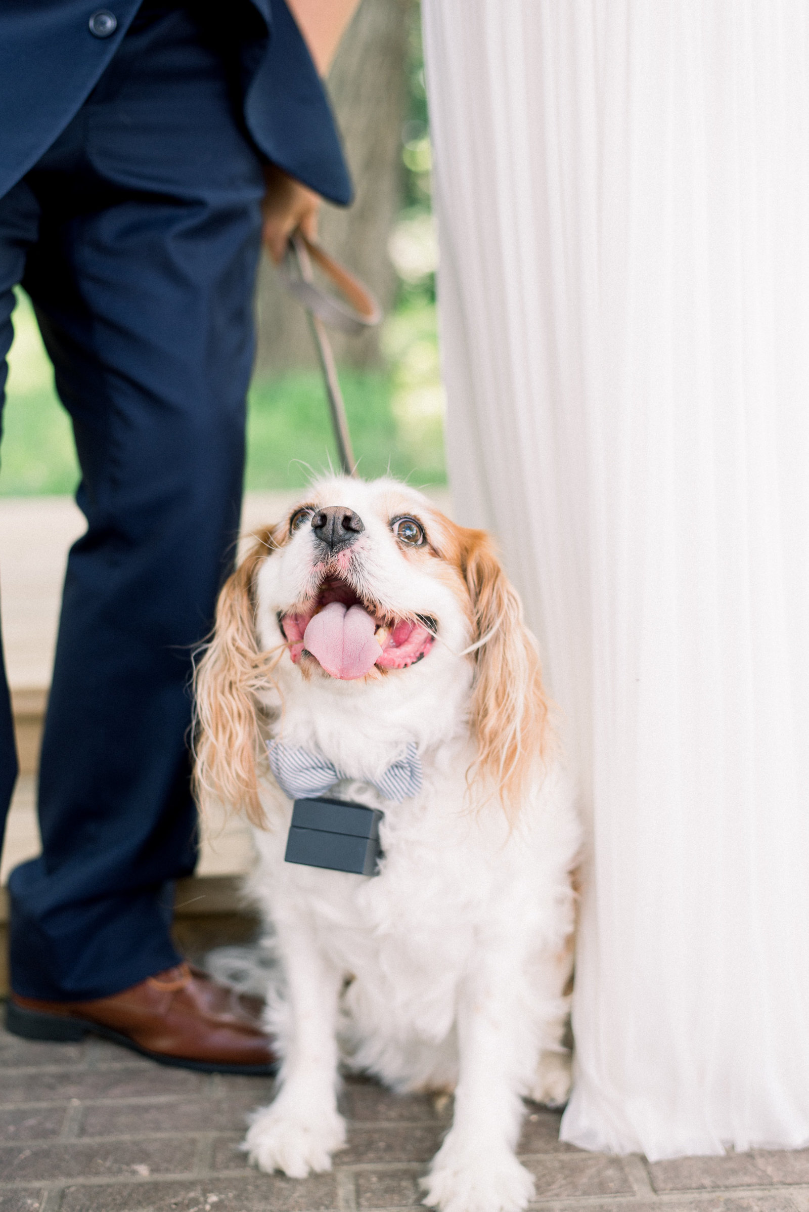 iowa wedding photographer_-8