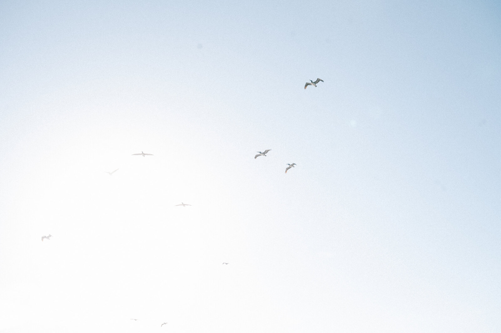 oak-island-wedding-wilmington-nc-mackenzie-nick-493