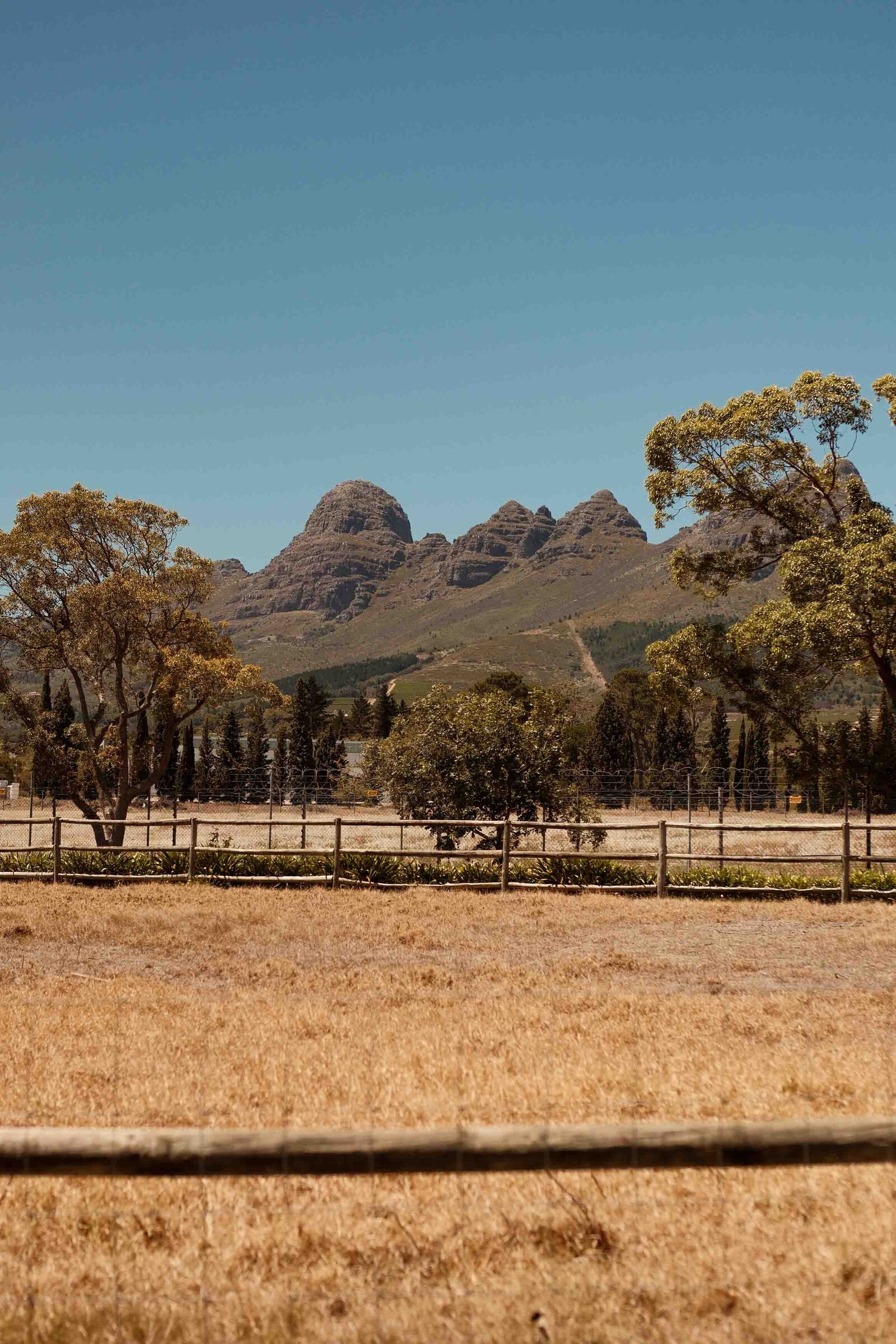 Destination-Wedding-Photographer-Cape-Town-FOMO-Fotografie-212