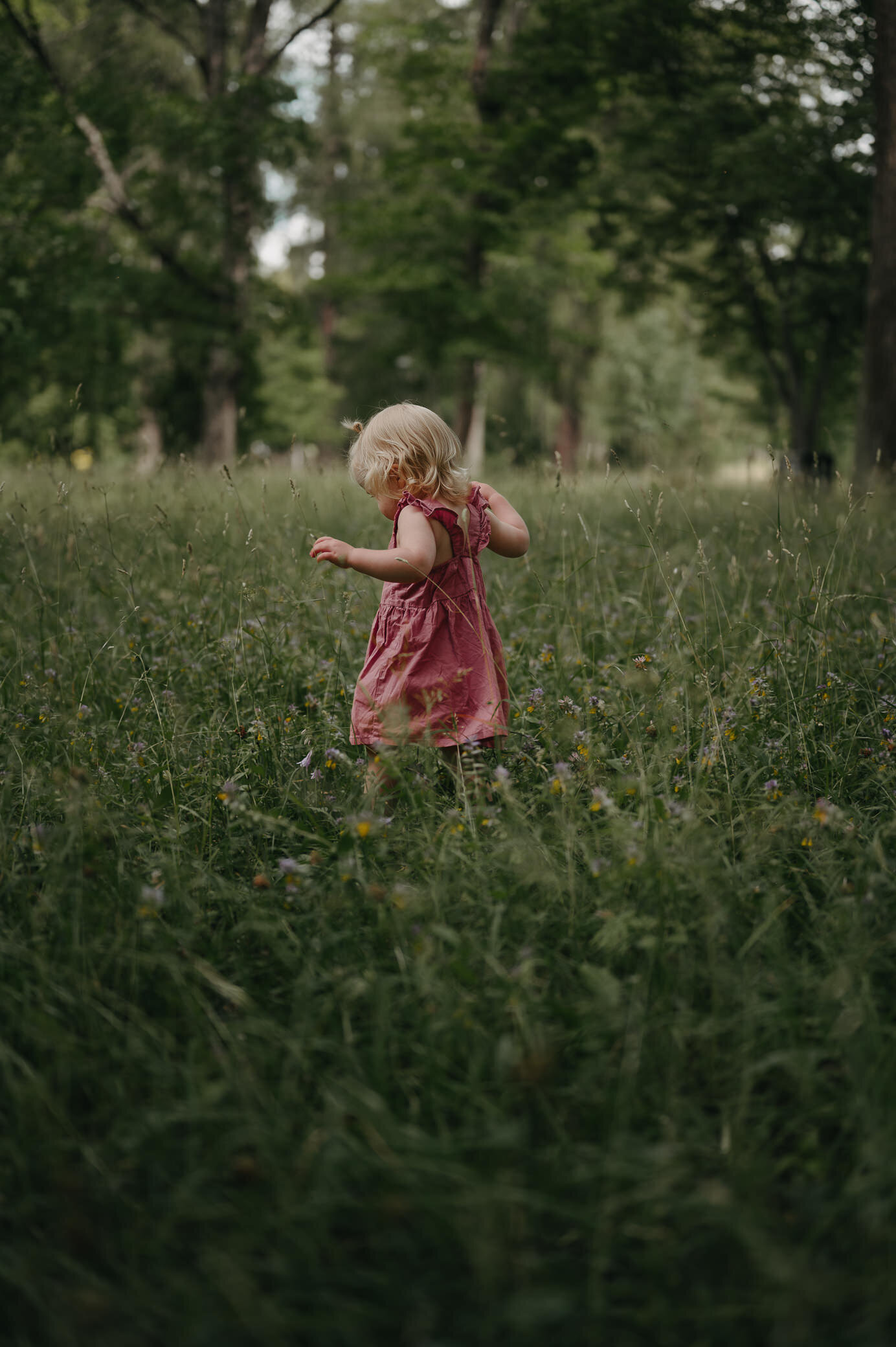 Liten tjej i rosa klänning dansar på ängen.