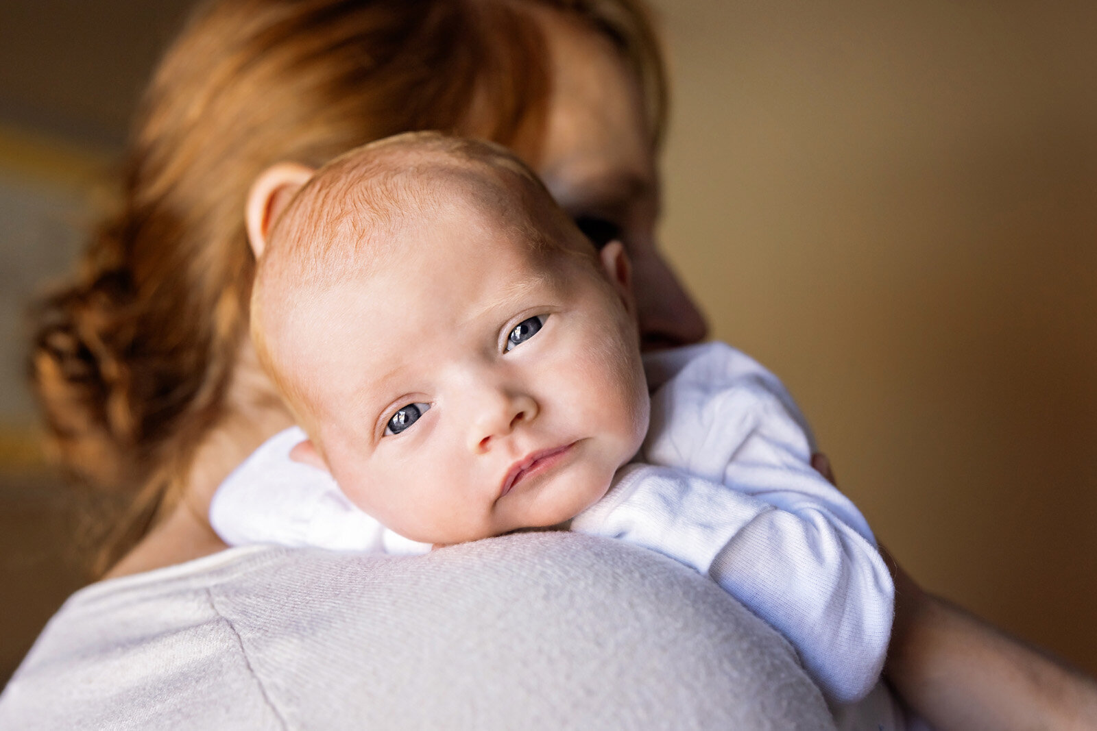 little-apple-newborn-photography