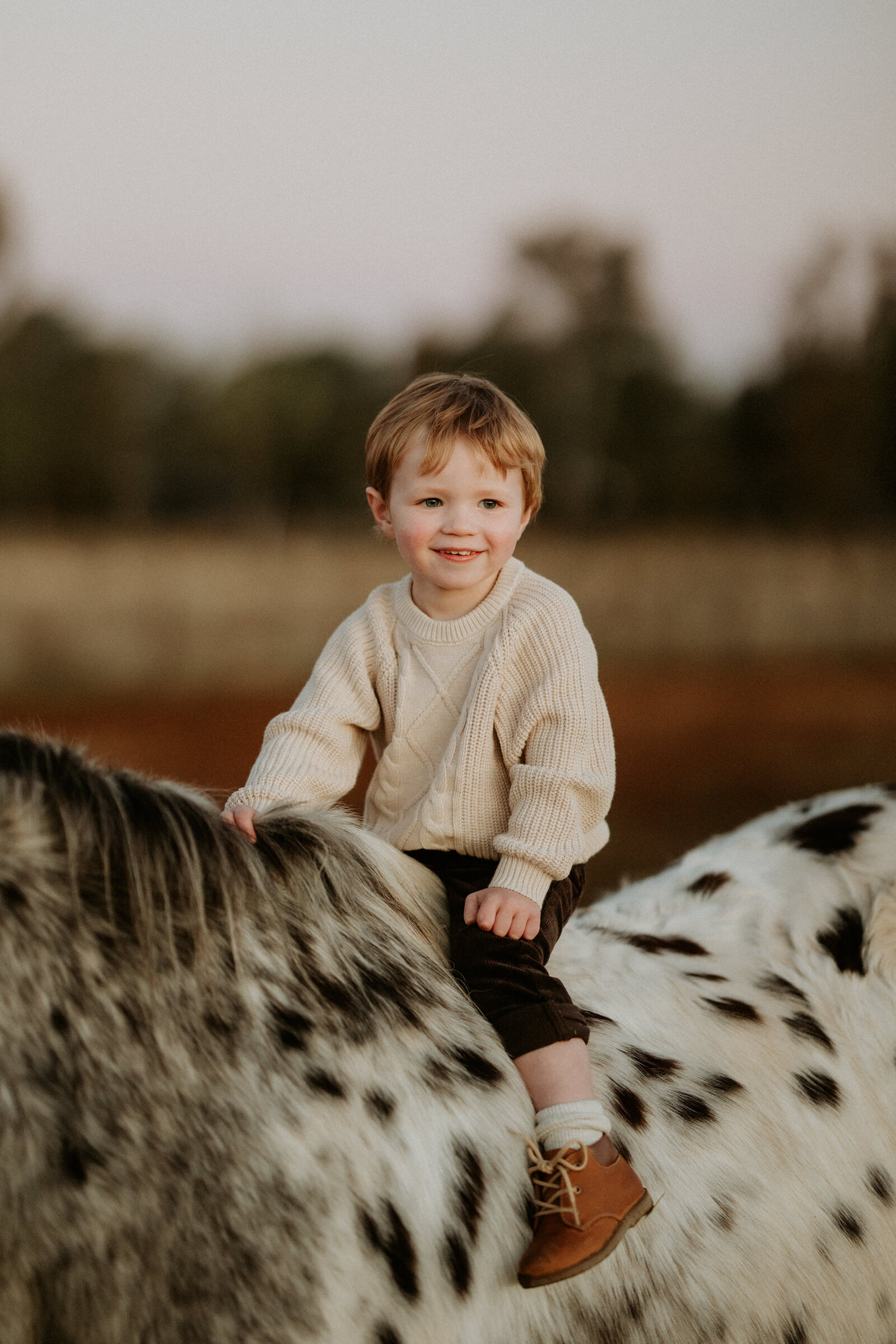Horse fam pics July 2023 A Hudson by Nicole McGuire-37