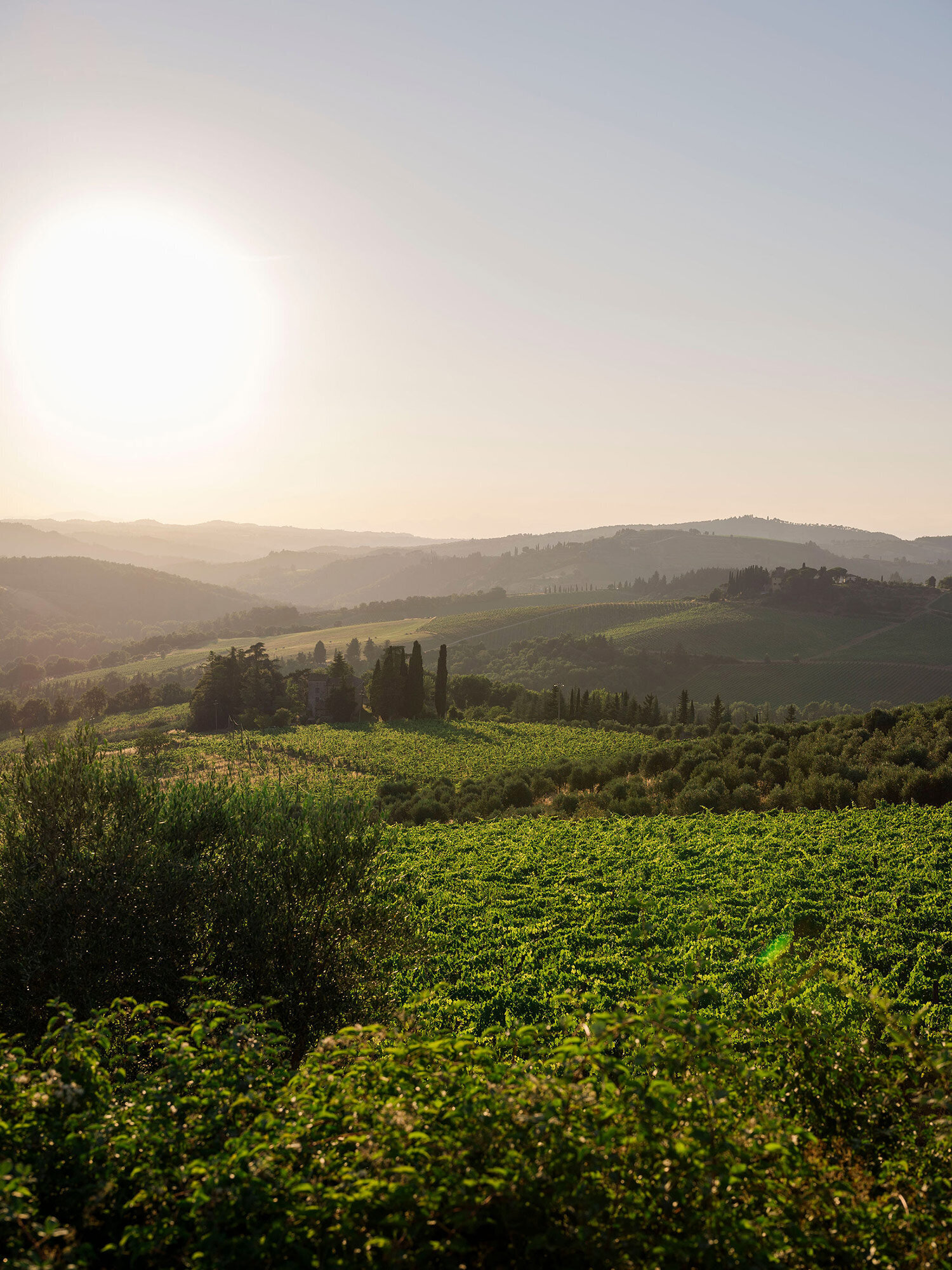 borgo_di_vignamaggio_A&J_wedding_126