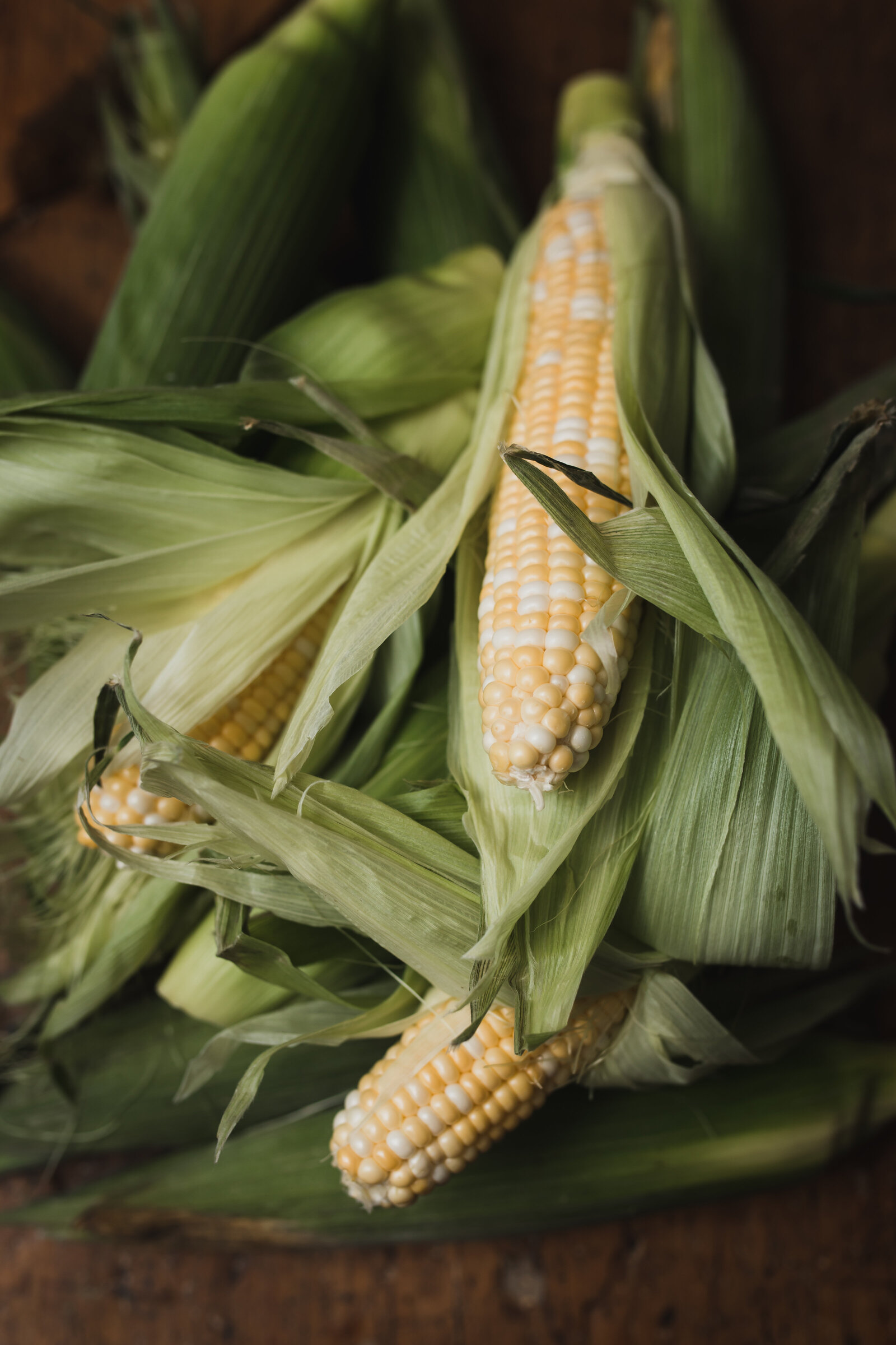 Sweet Corn