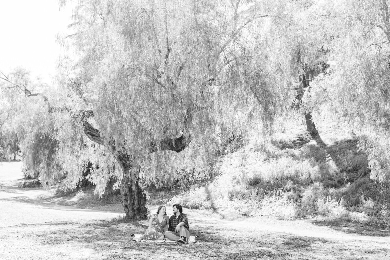 An engaged couple poses for photos in a garden in Los Angeles, Ca.