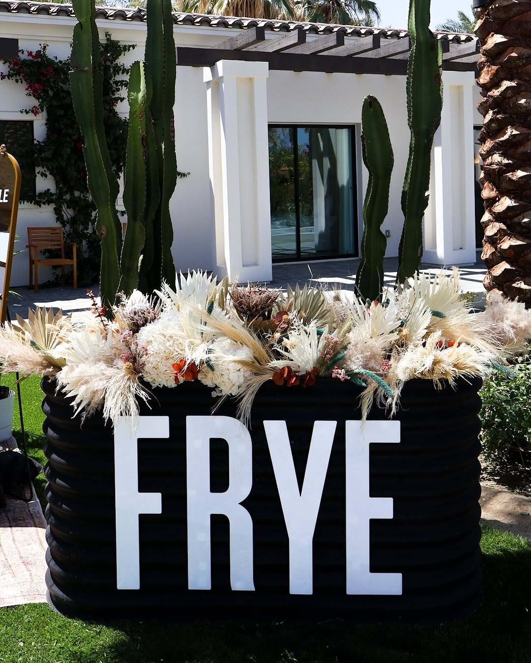 516785523_17974408427899893_8661577539075243178_n