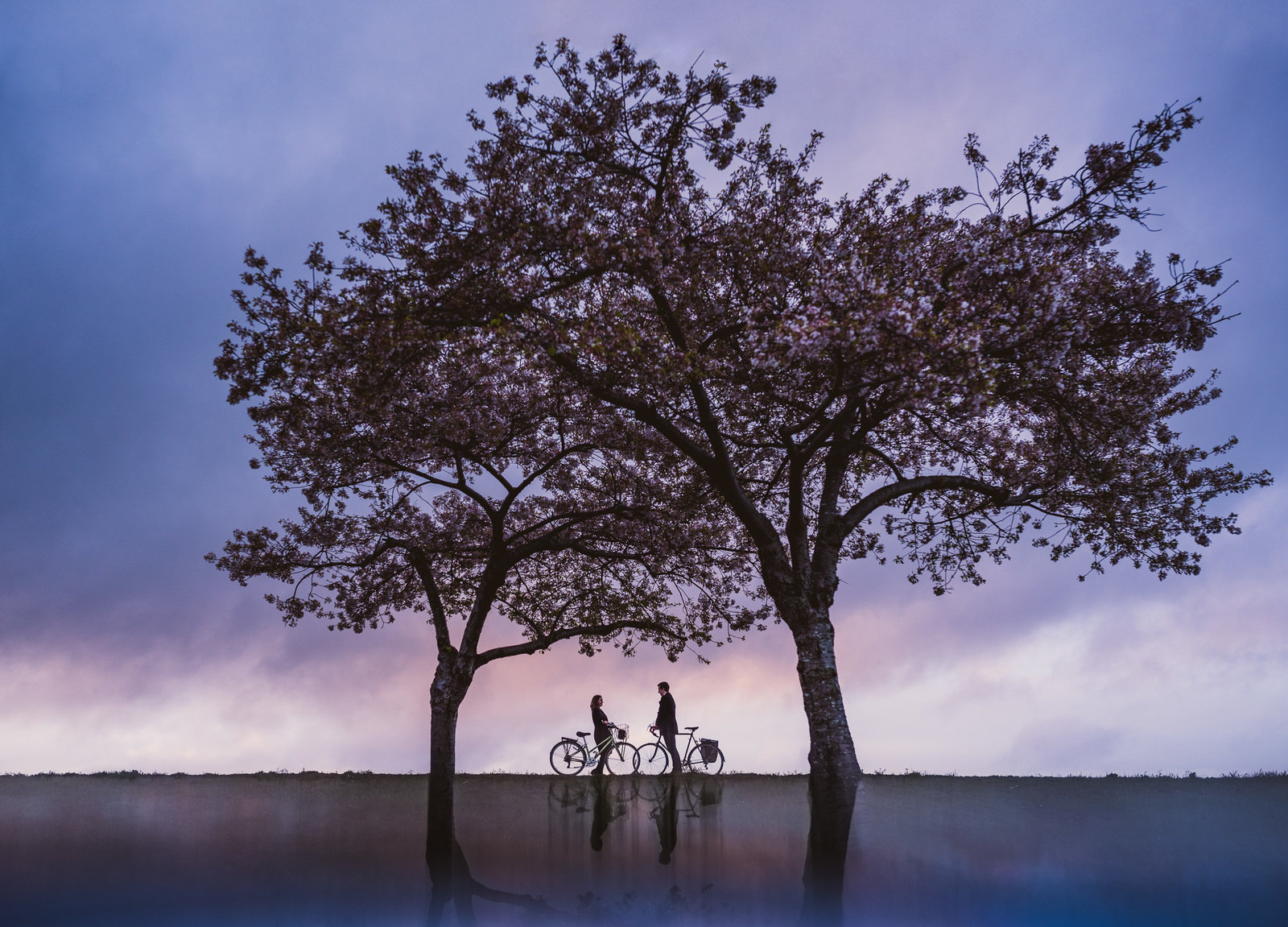 Couple on their bikes on a hill with tree