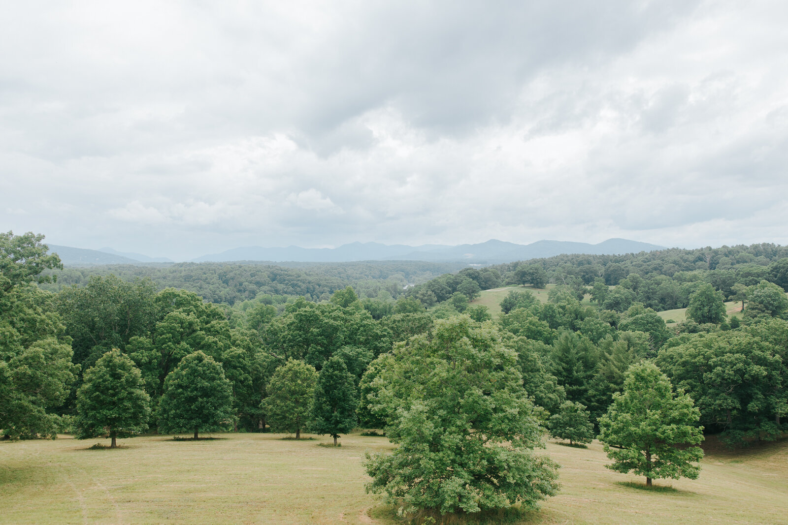 BiltmoreEstateWedding59