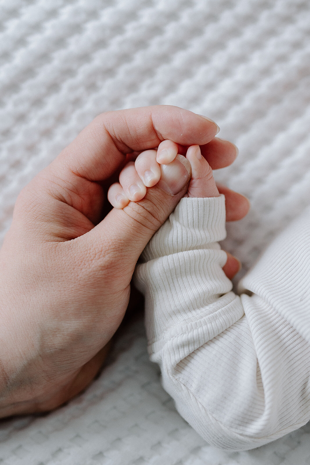 portrattfotograf-kirunafamiljefotograf-gravidfotografering-027