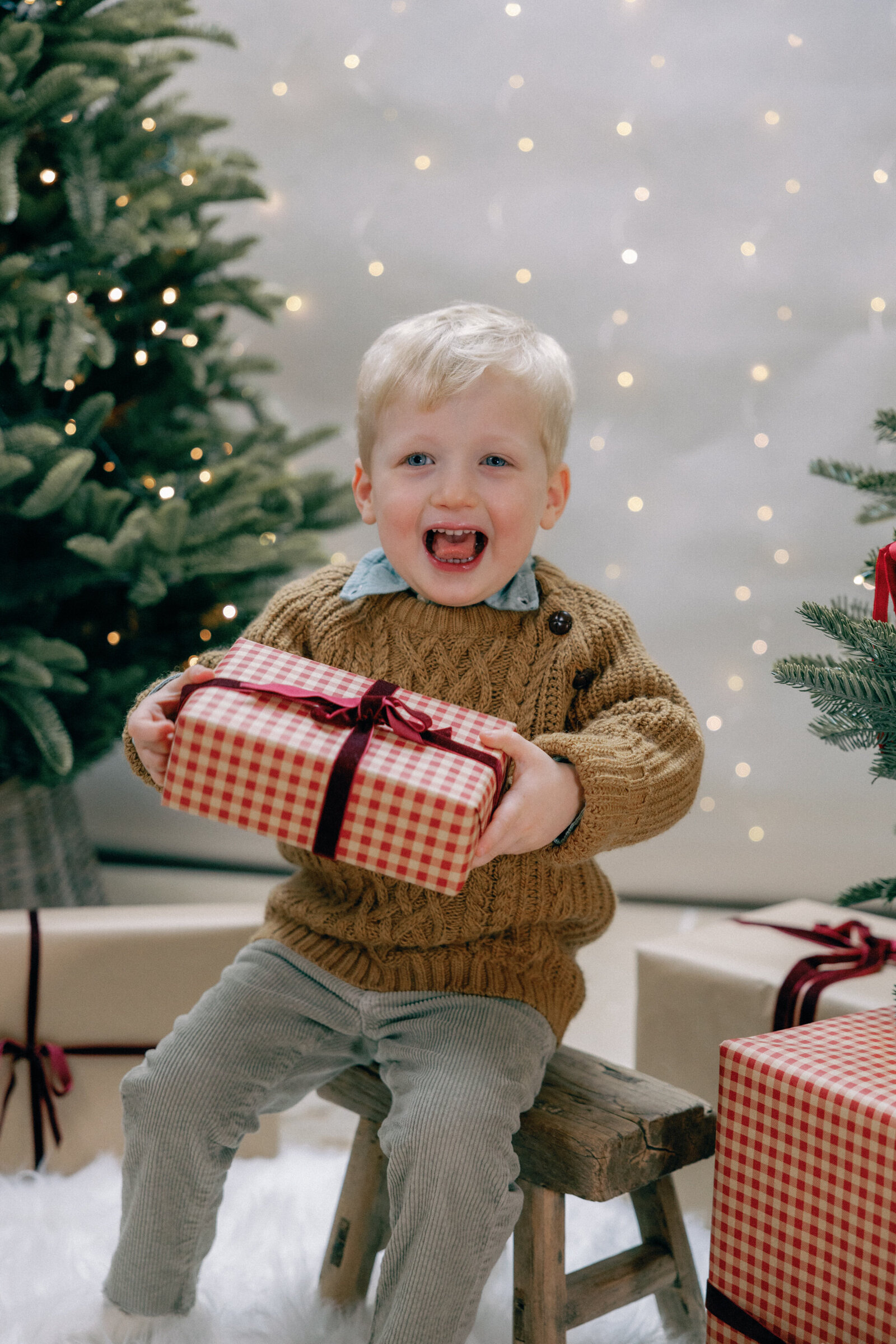 Hayne-Family-Christmas-Mini-2024-Philippa-Sian-Photography