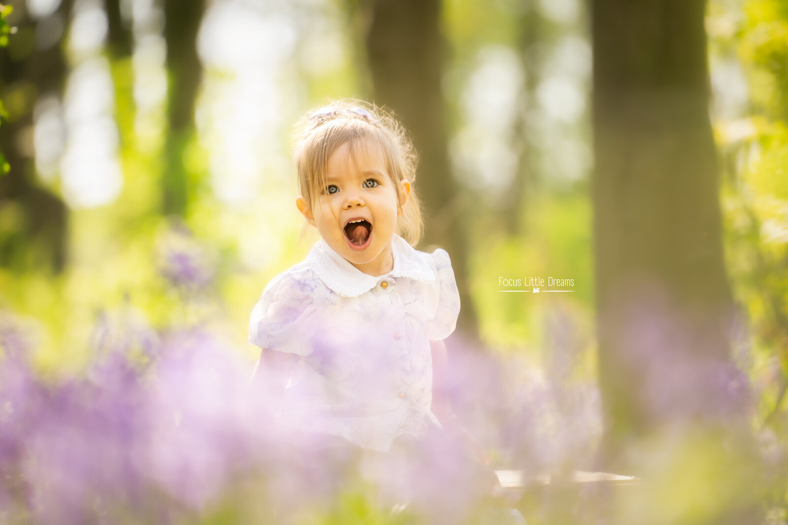 _DSC5256-bewerkt