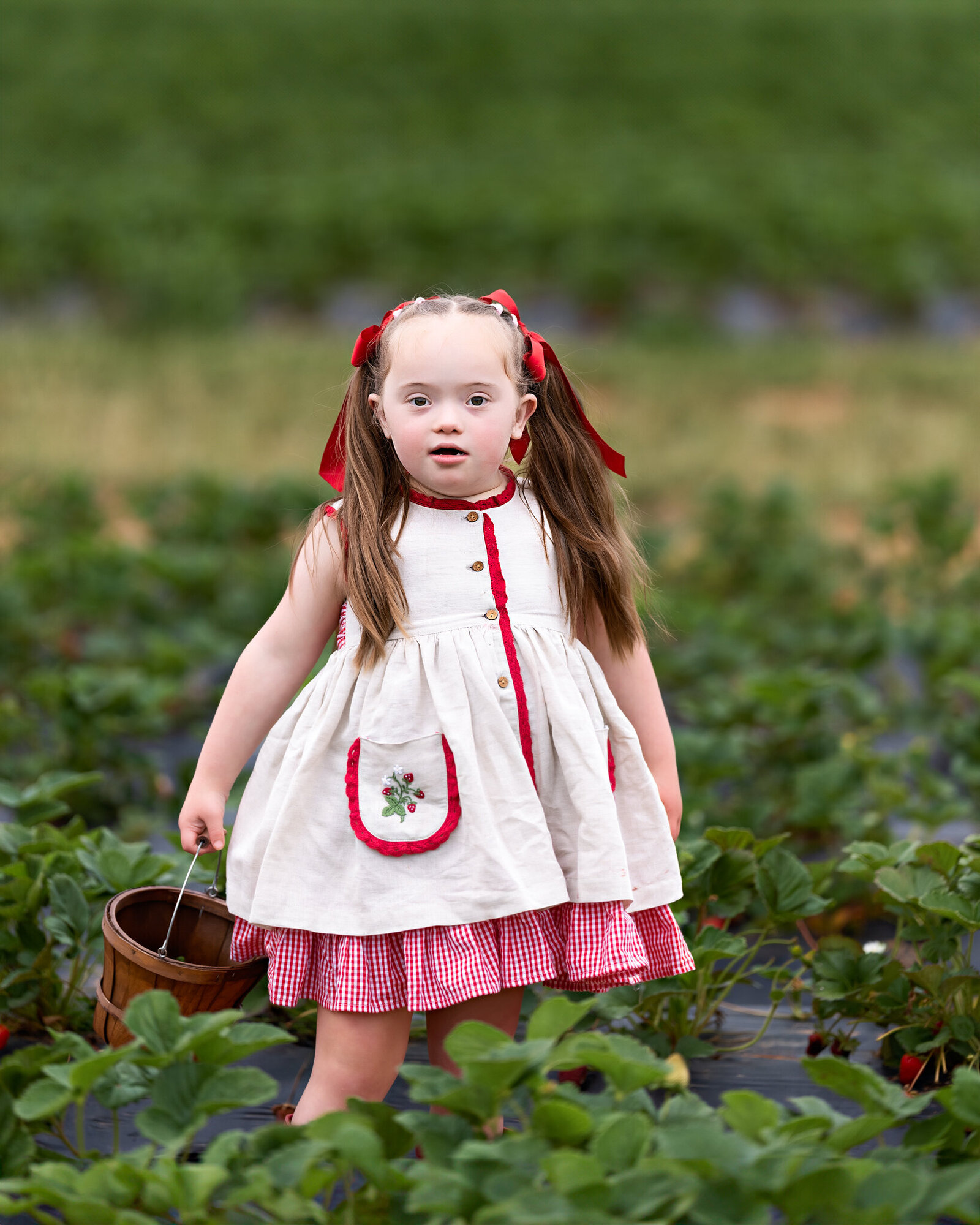 Raleigh-family-photographer-2025-559