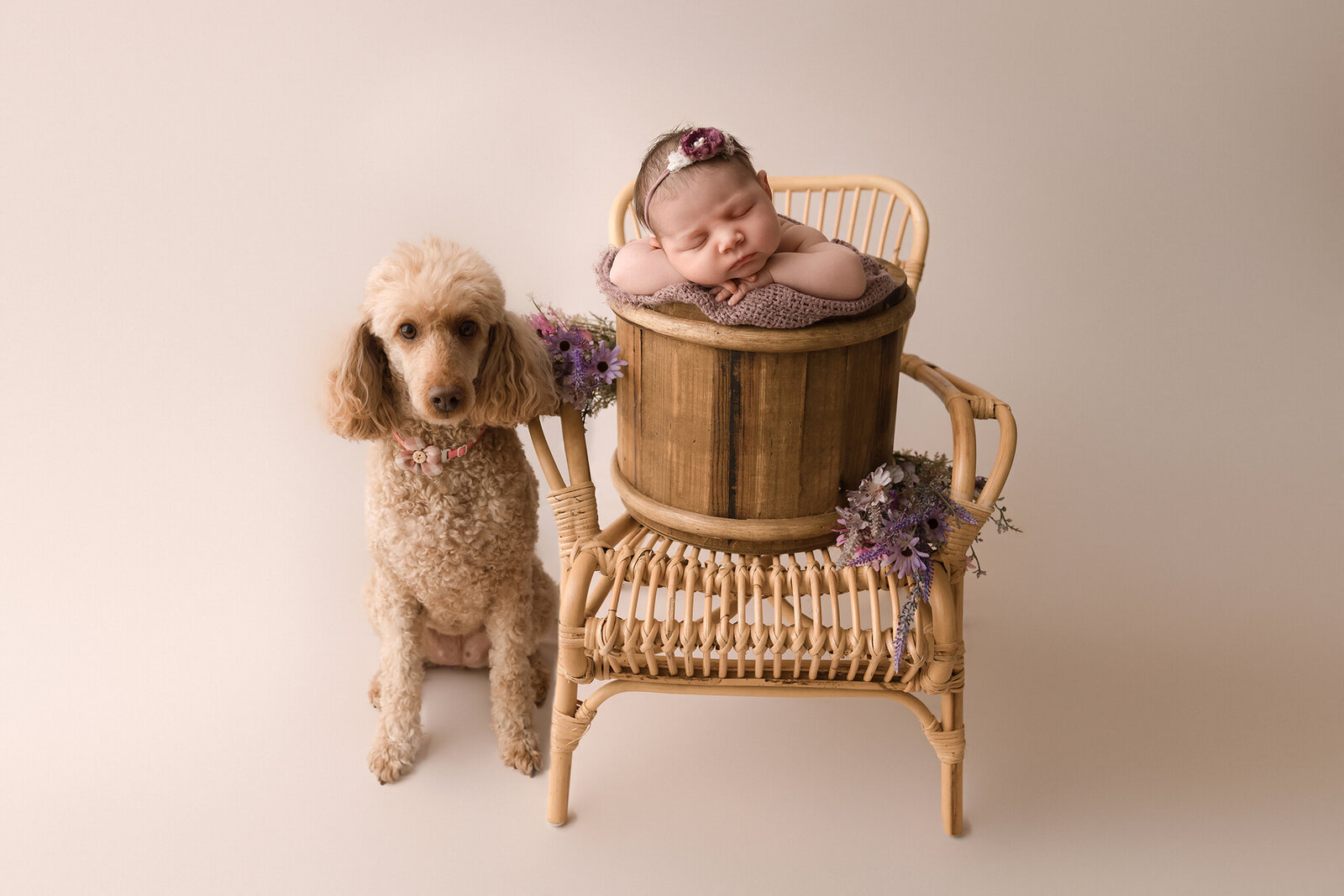 Melbourne's Little Angel: Aurora Joy Newborn Photography's Ethereal Capture