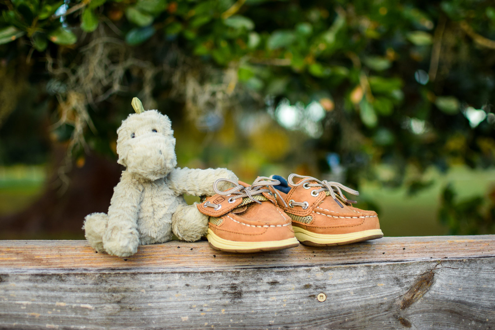 Maternity baby Sperry shoes stuffed dino  Tucker Ranch Winter Garden Florida