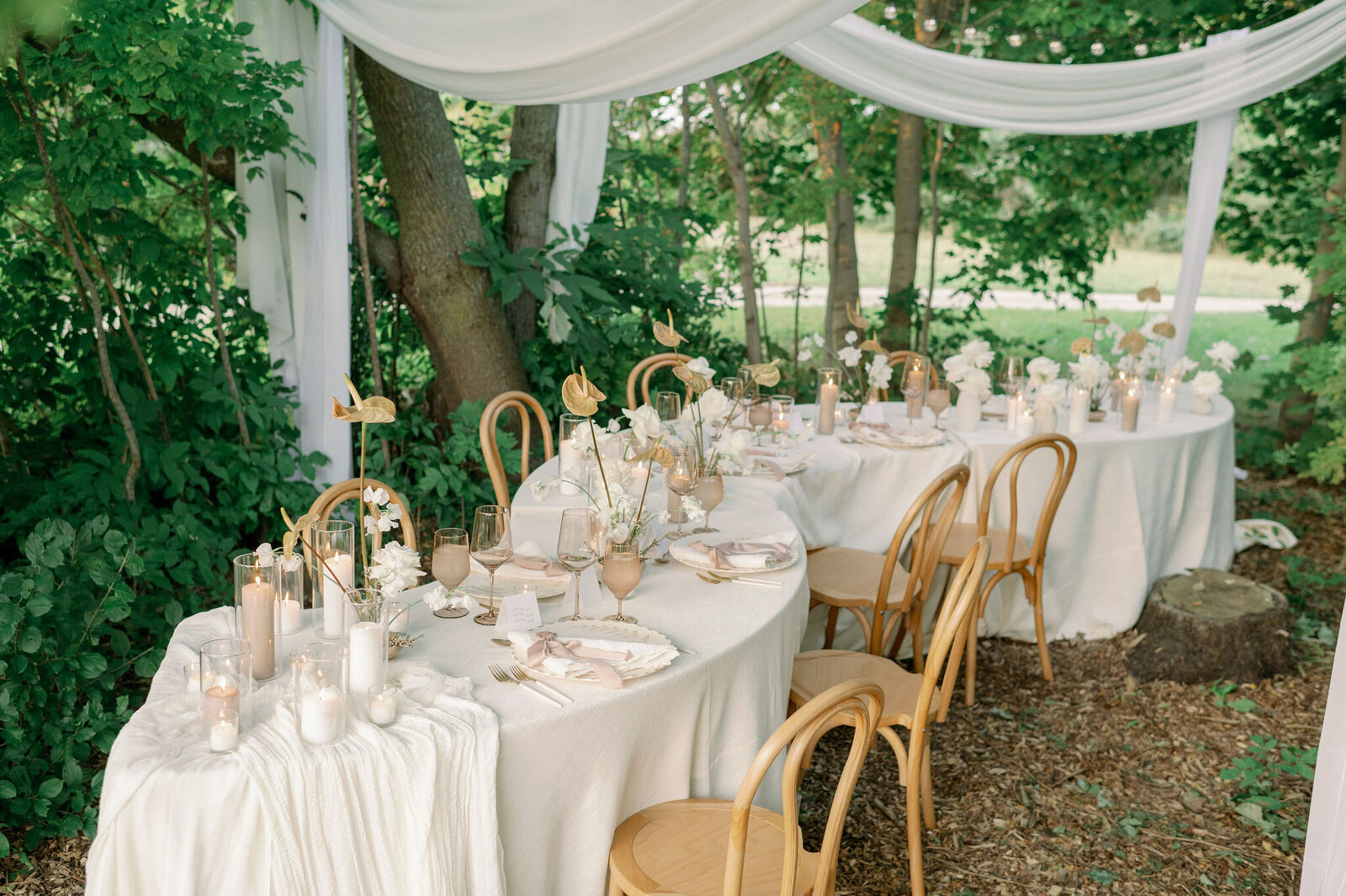 ForeverWildfieldWorkshopDayTwo_EmilyJeanPhotography_GuelphBrandingPhotographer-374
