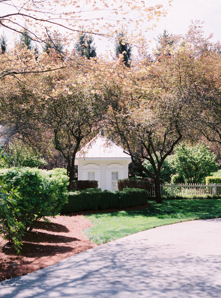 Ferguson Wedding-0002