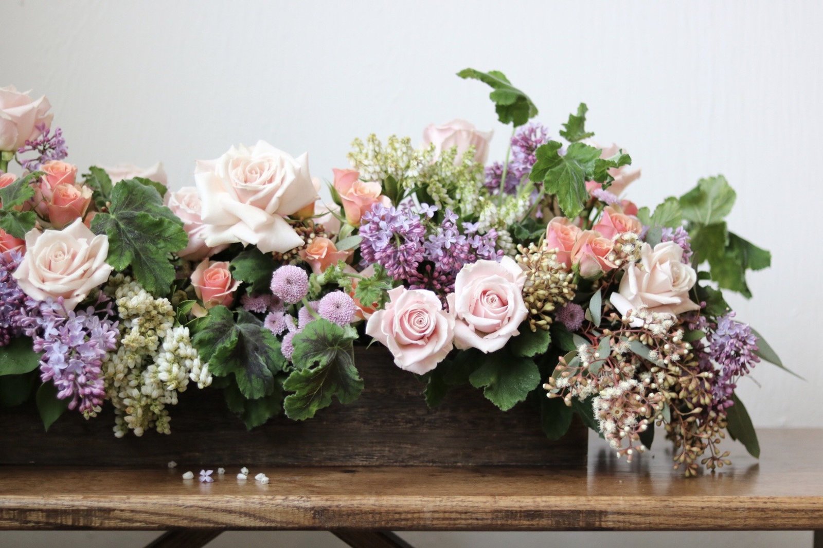 -3251980533988387245_IMG_1312