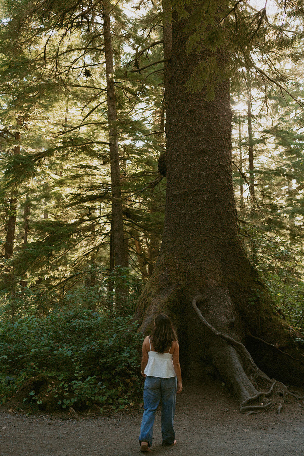 gwyn-photos-on-beach-cannon-beach-senior-photography-by-emily-noelle-photo-056