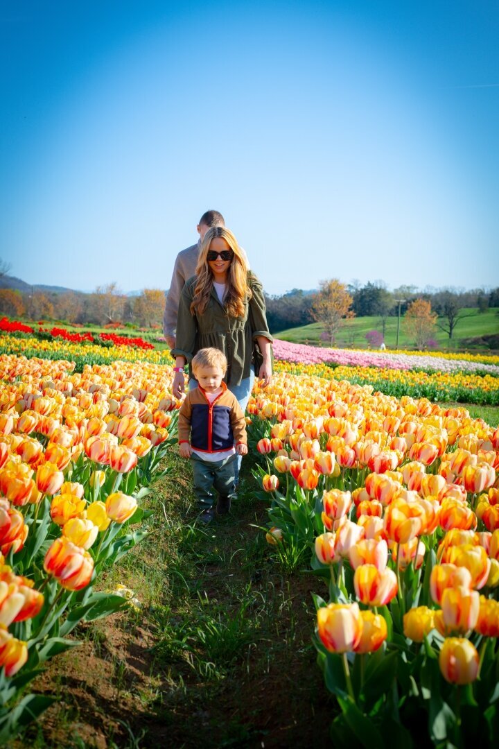Family_Photos_Flowers