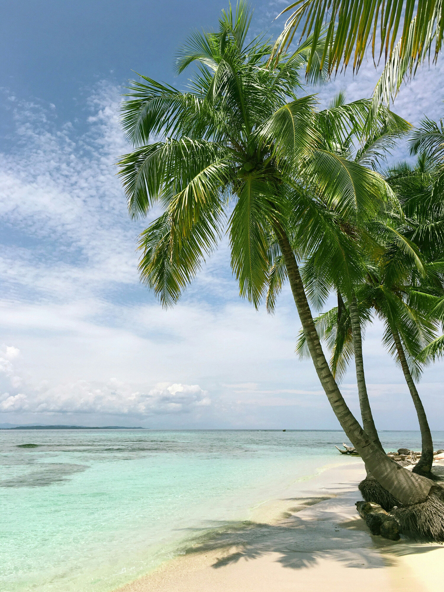 Destination-Wedding-Planner-for-Mexico-and-the-Caribbean-Quiet-Meadow-Travel-41
