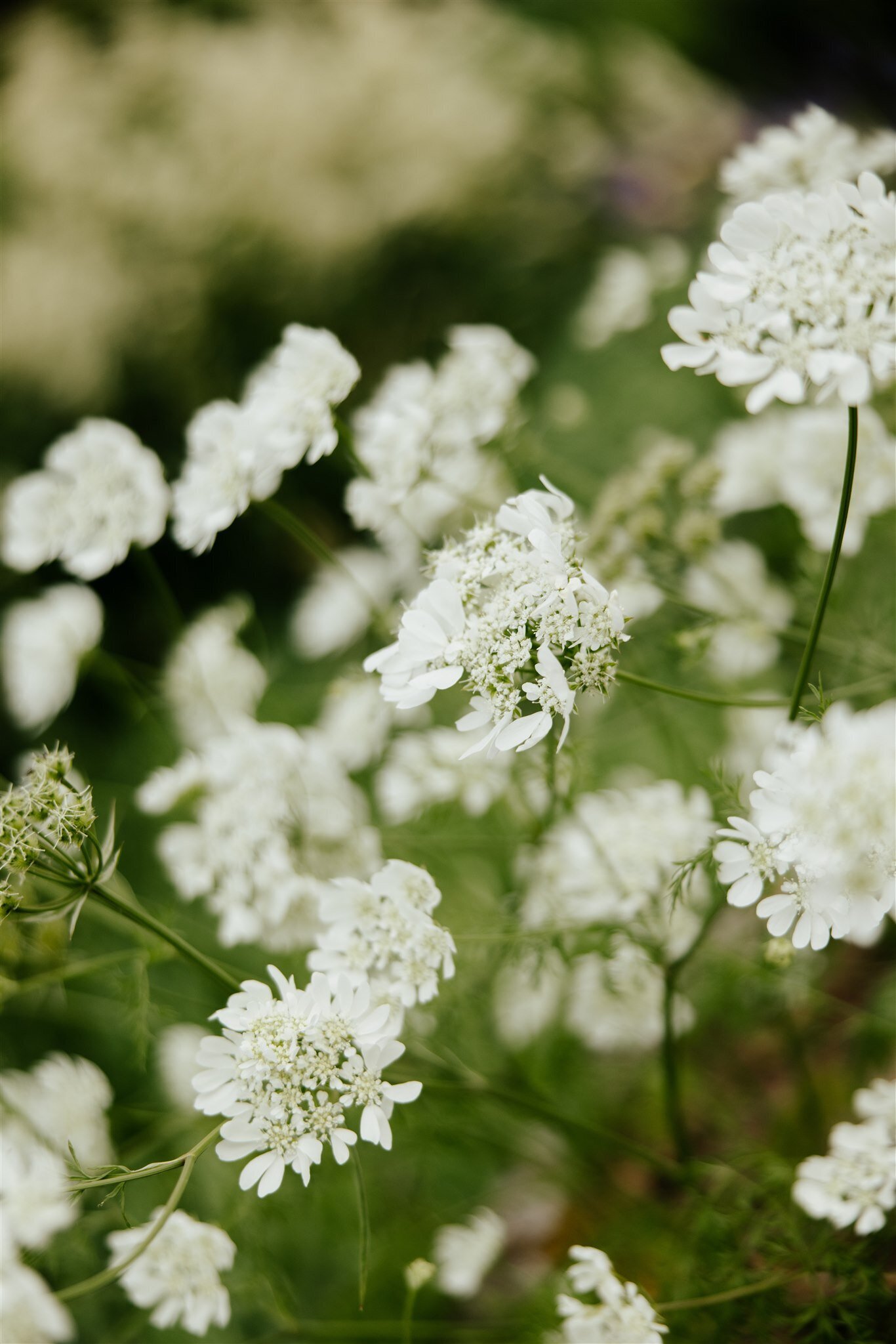 UK-destination-wedding-hanna-walkowaik-photography-0231