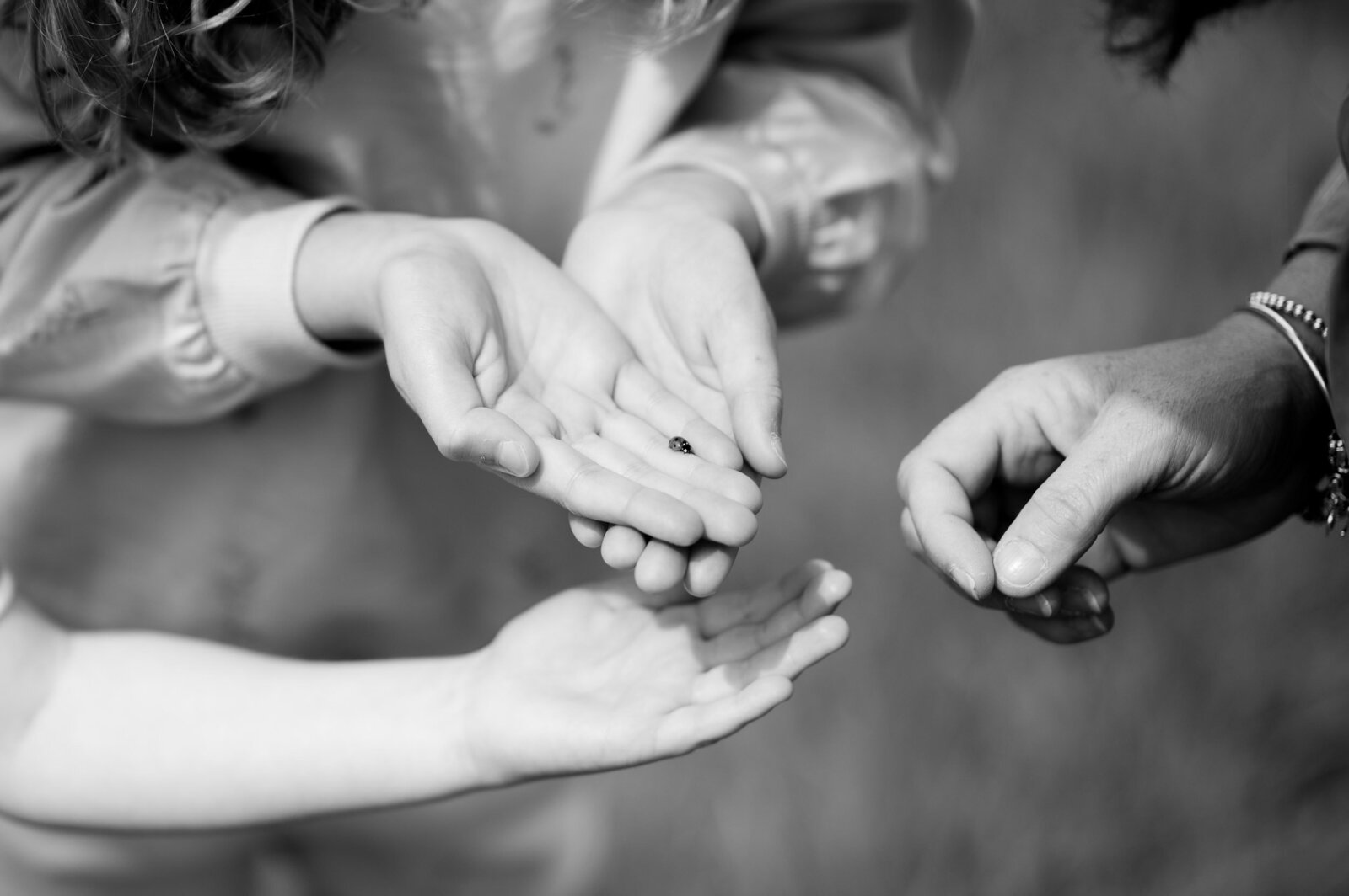 family-photoshoot-worcestershire-156