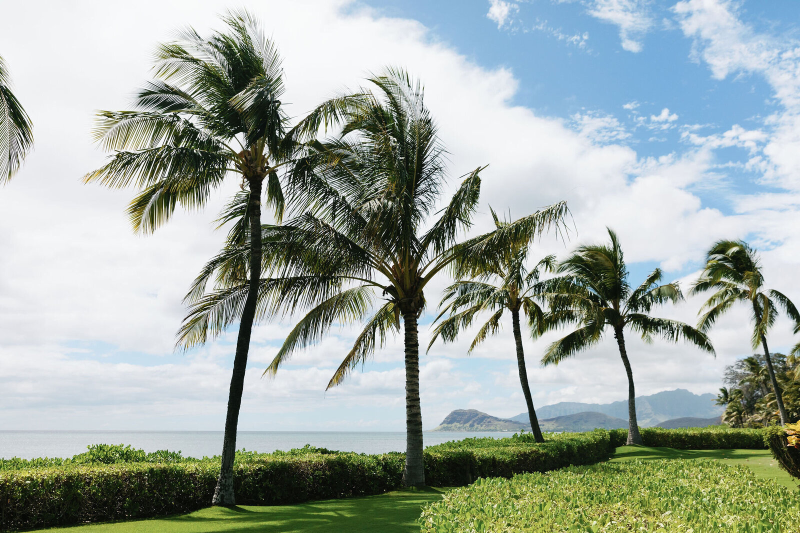 hawaii wedding packages