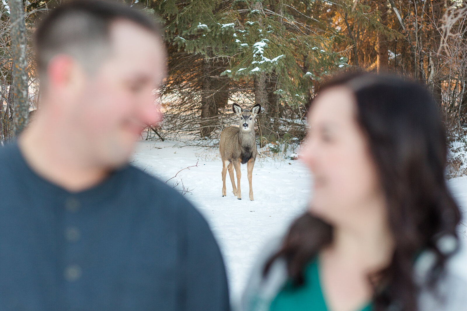 2024-krystal-moore-photography-moose-jaw-engagement-session-winter-40