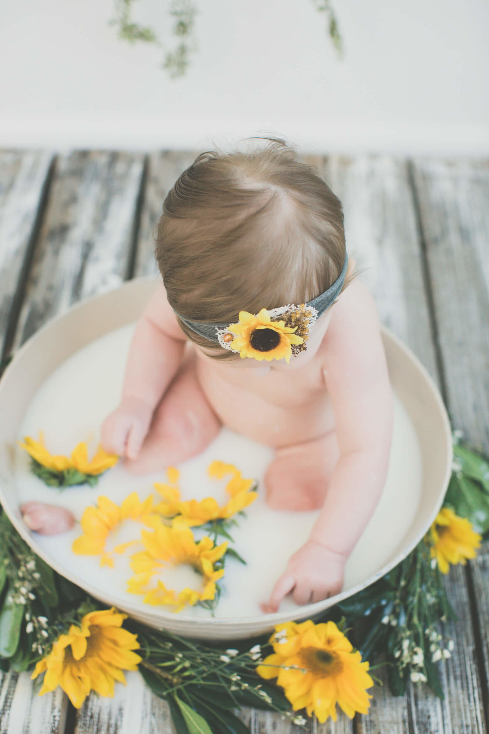sunflower baby milk bath photographer
