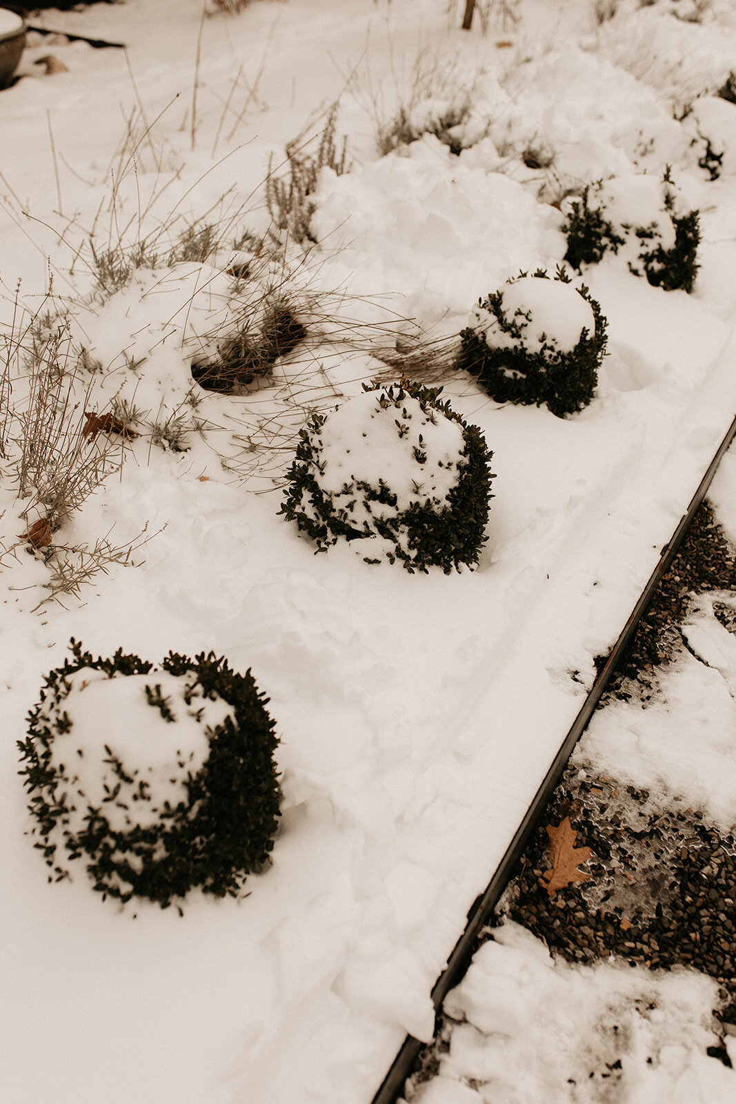 036_Amanda_Tommy_Minimony_12.19.20-105