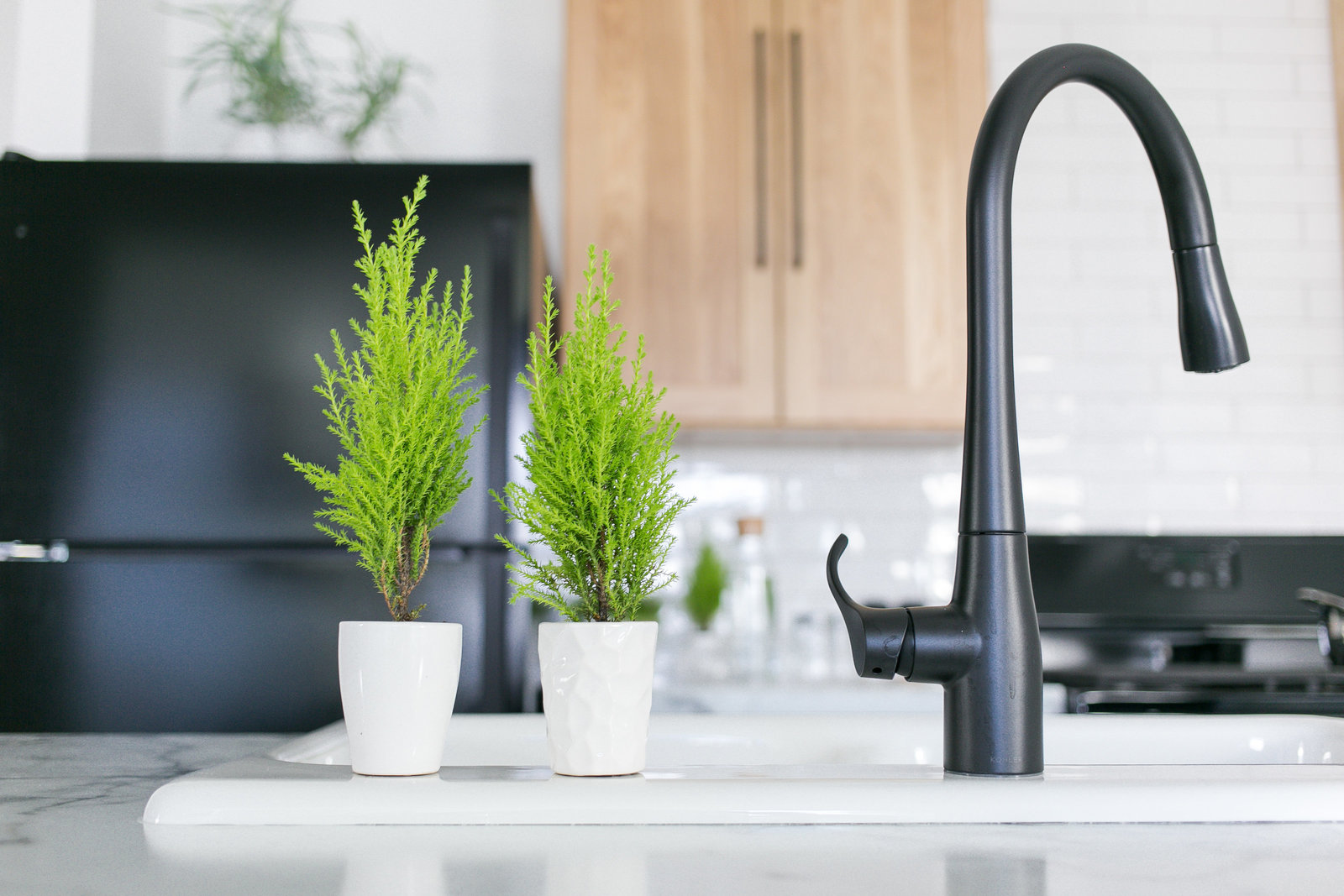 Modern BnB kitchen design with sleek black faucet, natural oak upper cabinets and pops of greenery for soft texture.