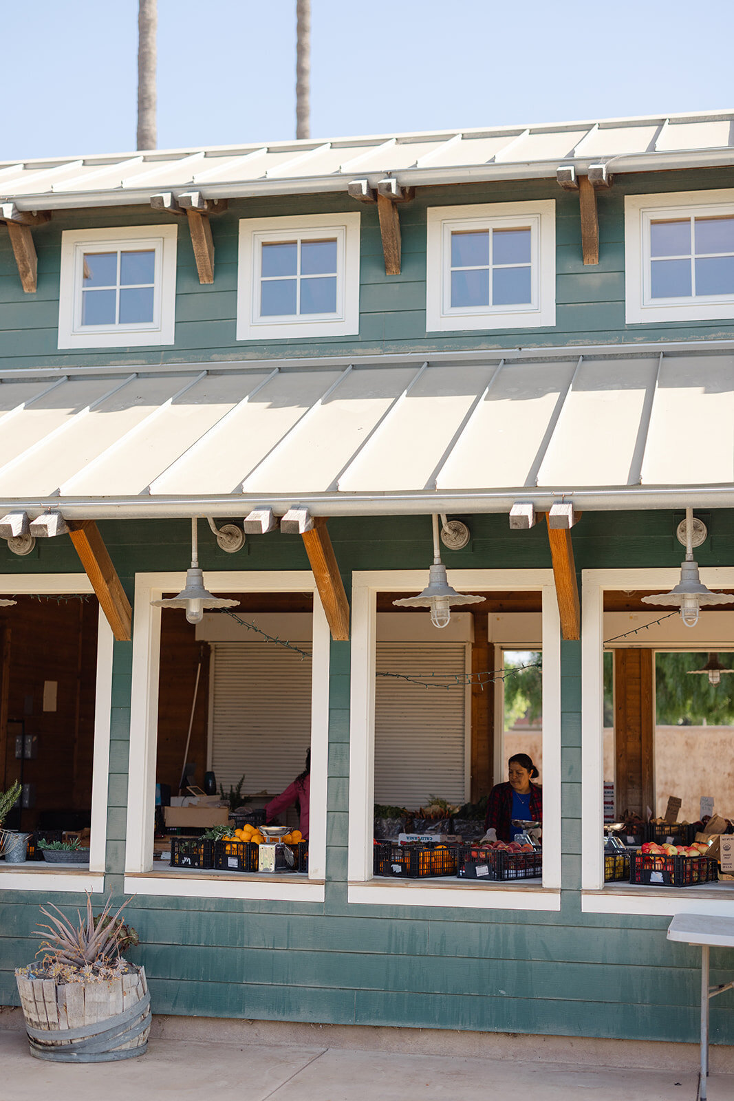 Brookeboroughphotography_californiaorganiccenter-19038